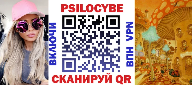 Купить закладки  Михайловка  Псилоцибиновые грибы Magic Shrooms 